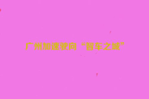 广州加速驶向“智车之城”