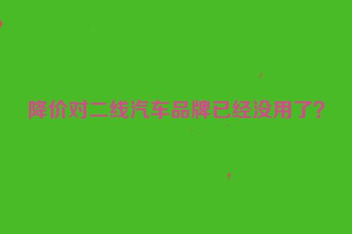 降价对二线汽车品牌已经没用了？