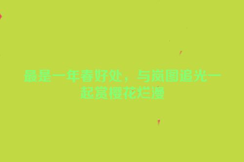 最是一年春好处，与岚图追光一起赏樱花烂漫