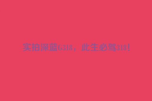 实拍深蓝G318，此生必驾318！