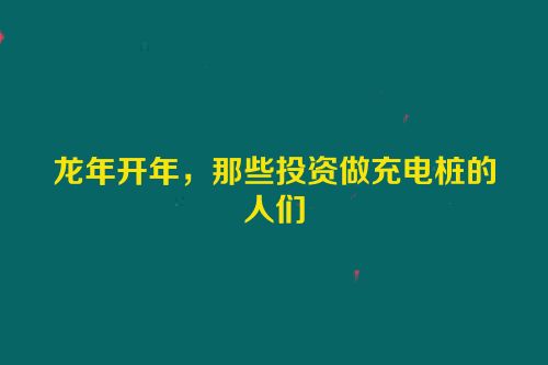 龙年开年，那些投资做充电桩的人们