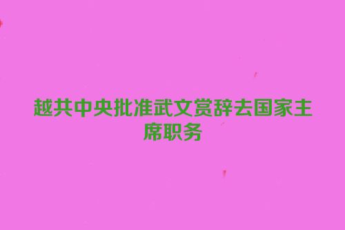 越共中央批准武文赏辞去国家主席职务