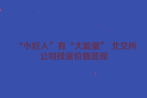 “小巨人”有“大能量” 北交所公司投资价值显现